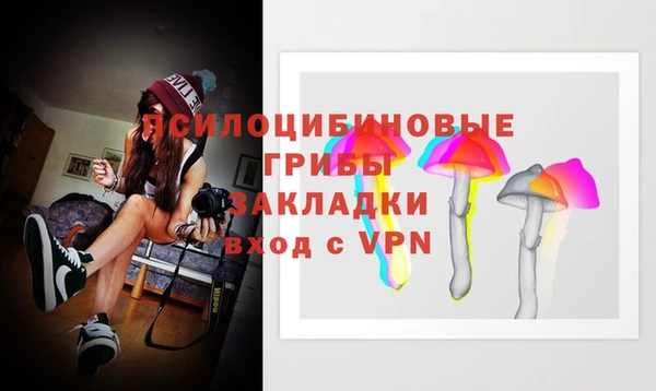 бошки Волоколамск