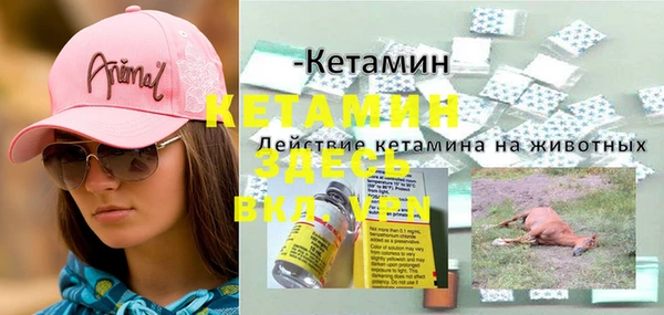 мяу мяу кристалл Дмитров