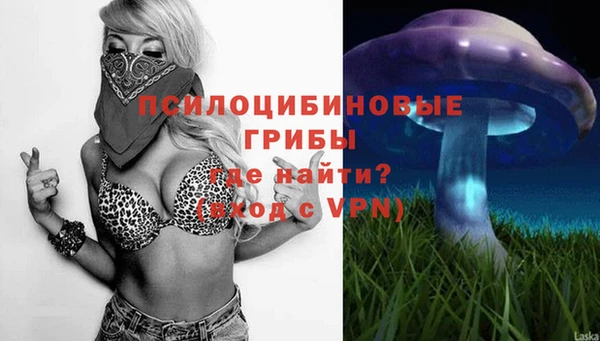мяу мяу мука Дмитриев