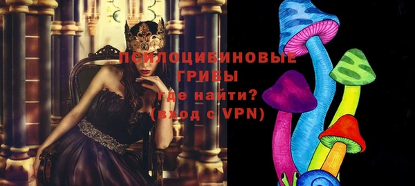 мяу мяу мука Дмитриев